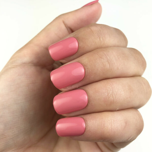 Carré - Court - Boite de 600pcs