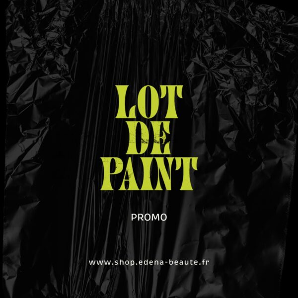 Lot Paint à 2.42€ !